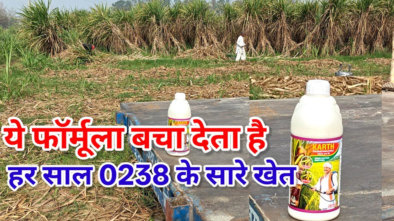 गारंटी है मेरी ये फॉर्मूला बचा देगा 0238 के सारे खेत। top borar ki dvai Karth kaha milegy। 