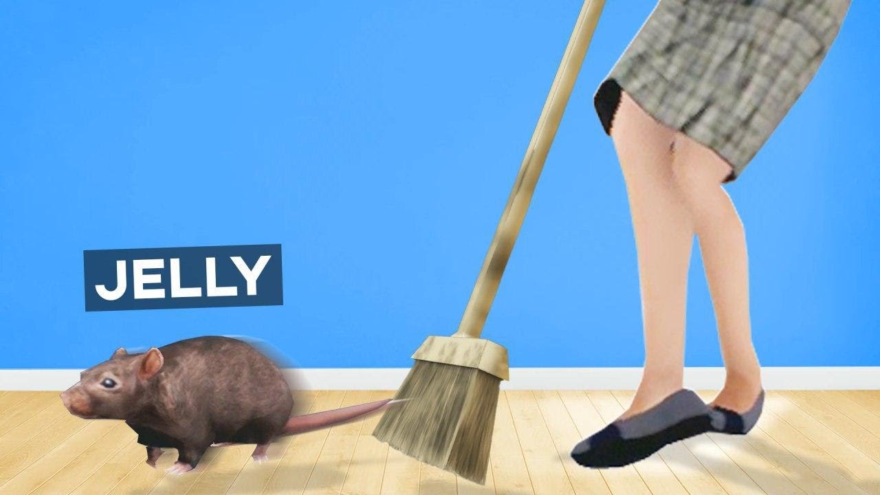 CATCH The RAT OR LOSE The GAME! (Slap The Fly)