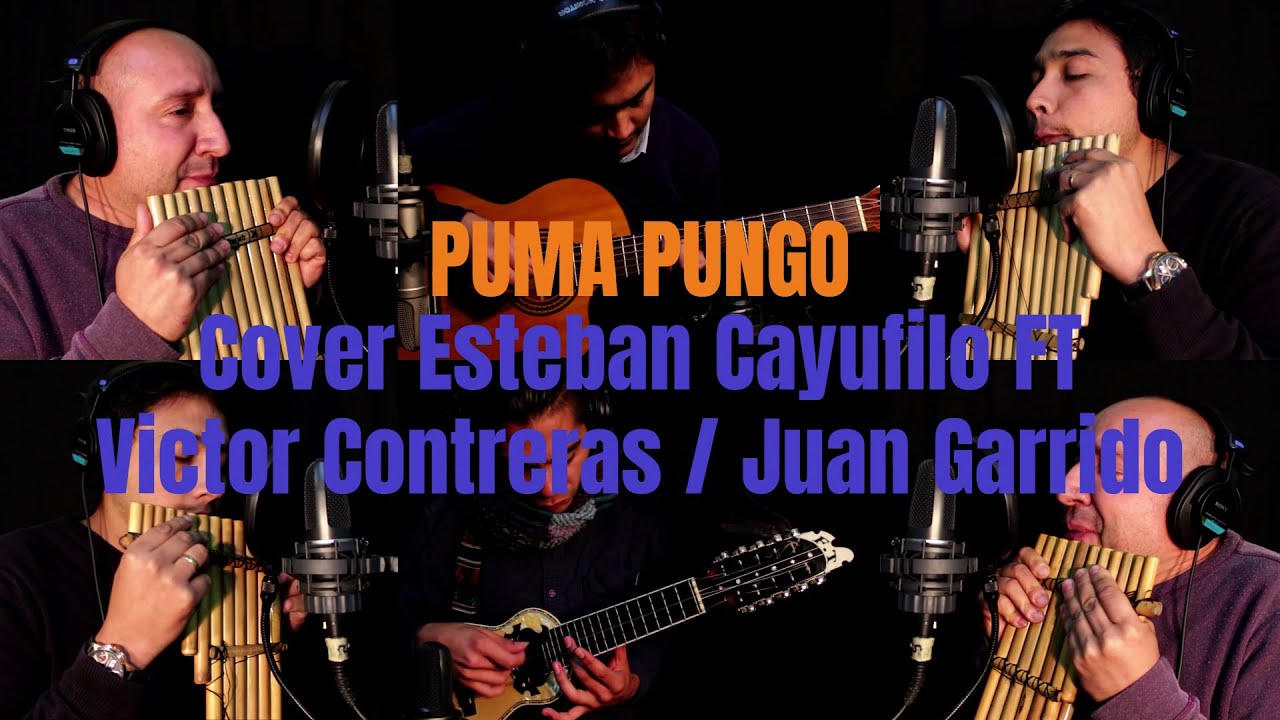 Puma Pungo - Altiplano #cover