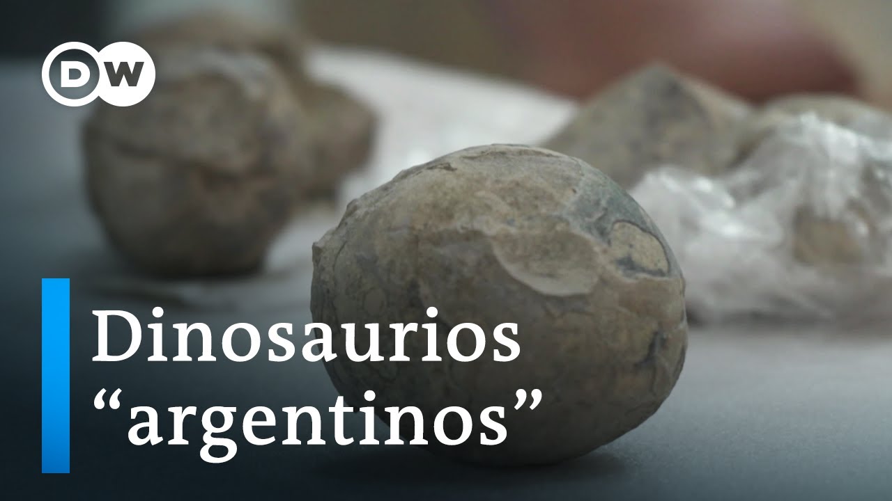 Descubren los nidos más antiguos