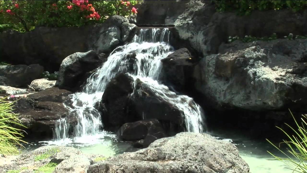 Secret Garden - Canzona