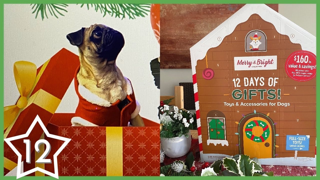Day 12 | Petsmart 12 Days of Gifts Advent Calendar