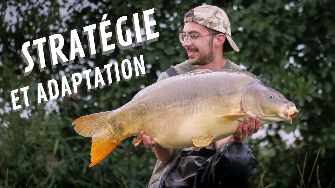 STRATÉGIE ET ADAPTATION {pêche de la carpe 4K}