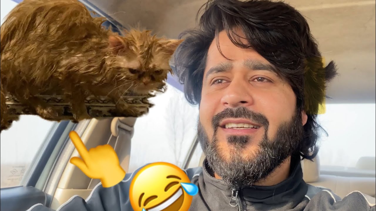 Dair Sari KhushKhabriya🥳