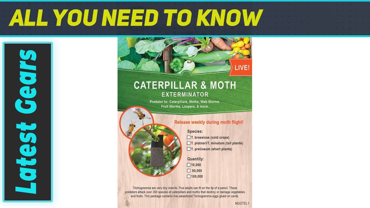 Natures Good Guys Trichogramma: Ultimate Pest Control?
