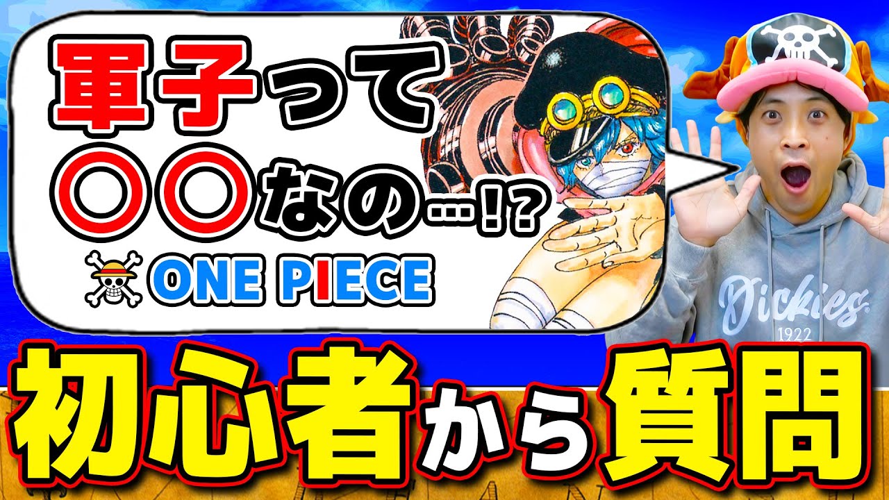 【 ワンピース 】軍子ってもしかして○○なの…!? ワンピ初心者の星さんの疑問に答えてみた結果…！ONE PIECE