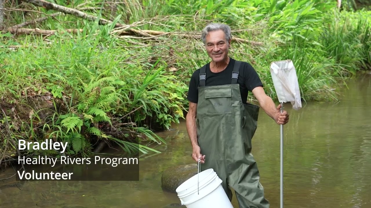 Rewilding the Brunswick River | PART 3