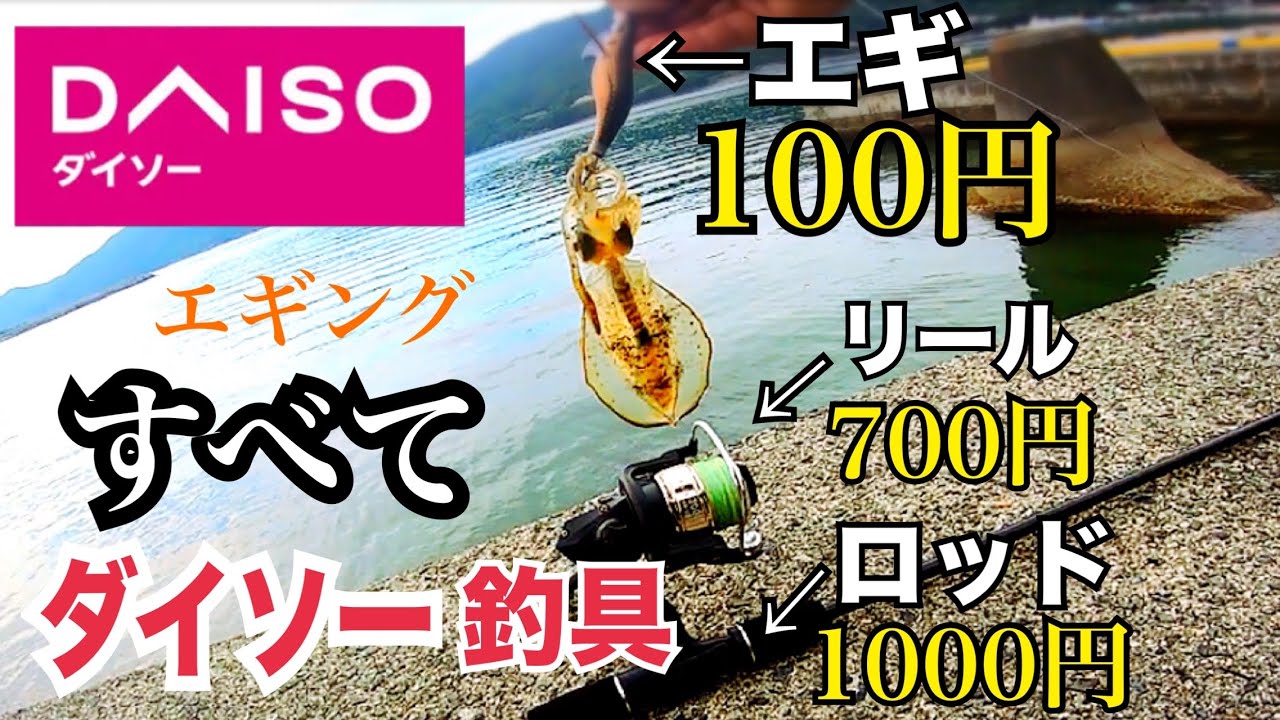 ダイソー釣具のみでエギングは成立する！！コスパ最強のイカ釣り