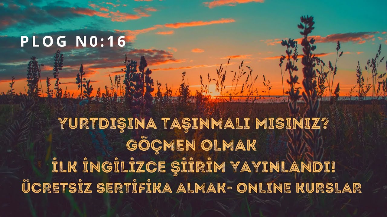 VLOG No: 16 / İNGİLİZCE ŞİİRİM YAYINLANDI // YURTDIŞINDA YAŞAMAYA UYGUNLUK TESTİ // ONLINE SERTİFİKA