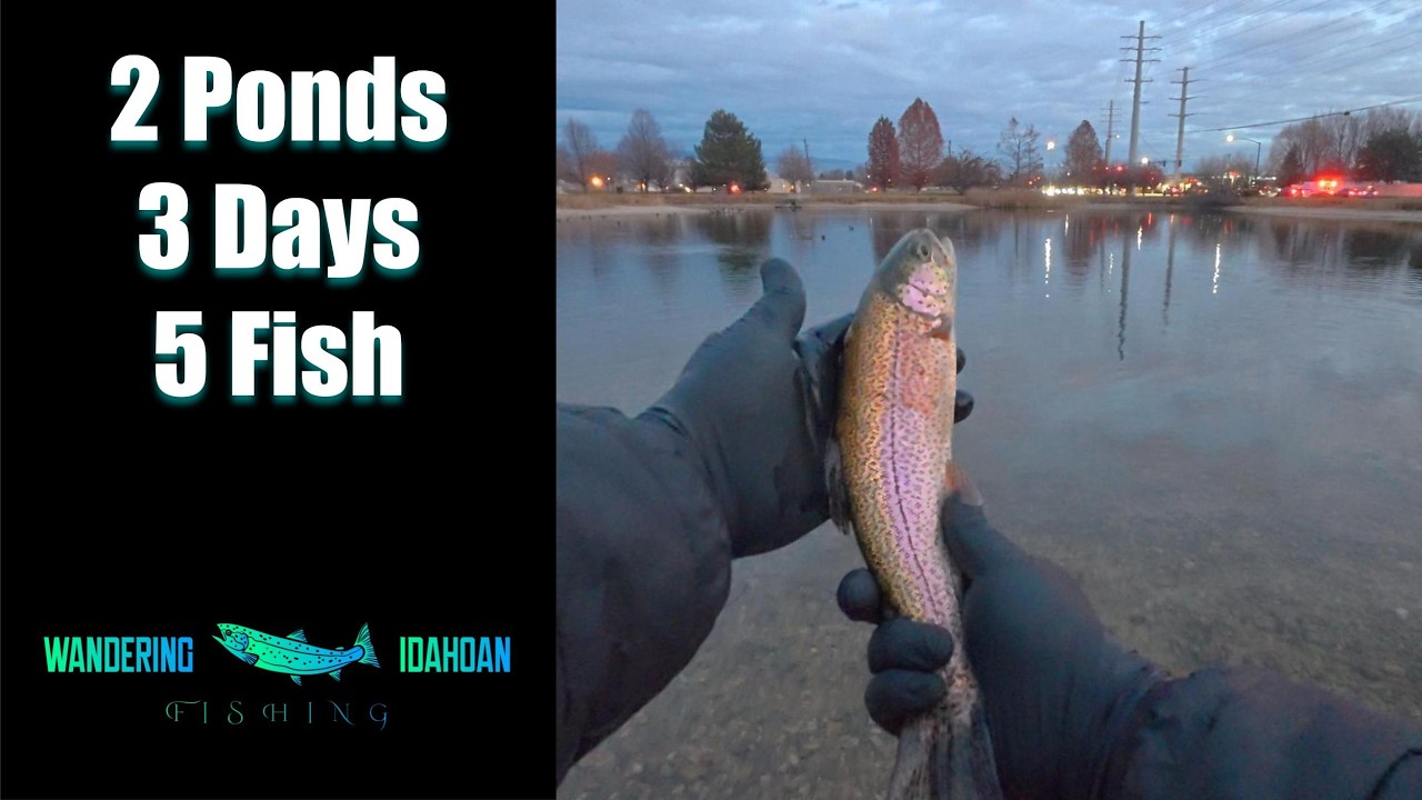 2 Ponds, 3 Days, 5 Fish