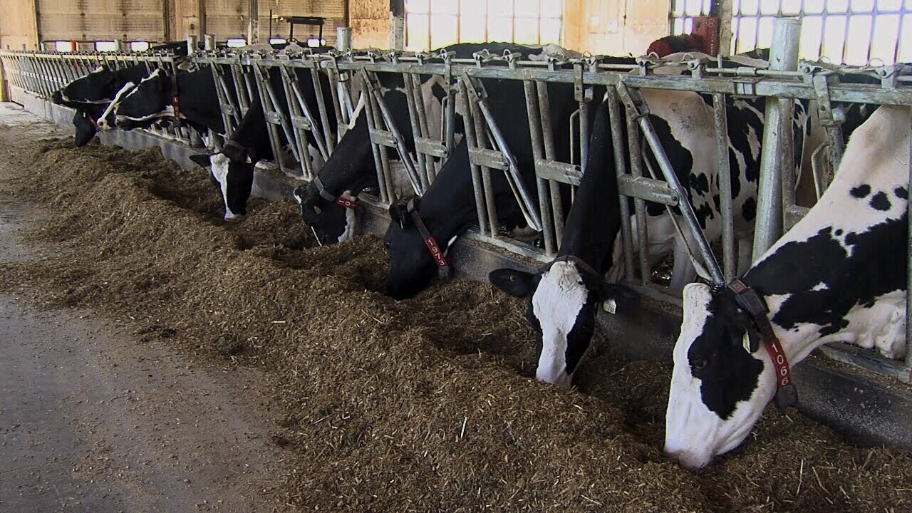 Area dairy farmers welcome upcoming milk price increase