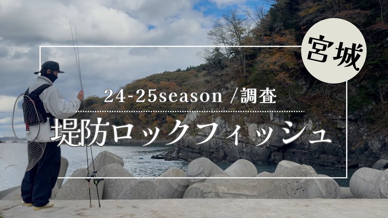 【アイナメ調査】堤防からロックフィッシュはもう釣れるのか！？・ハードロック&ライトロック両タックルを使って調査！【宮城釣り】