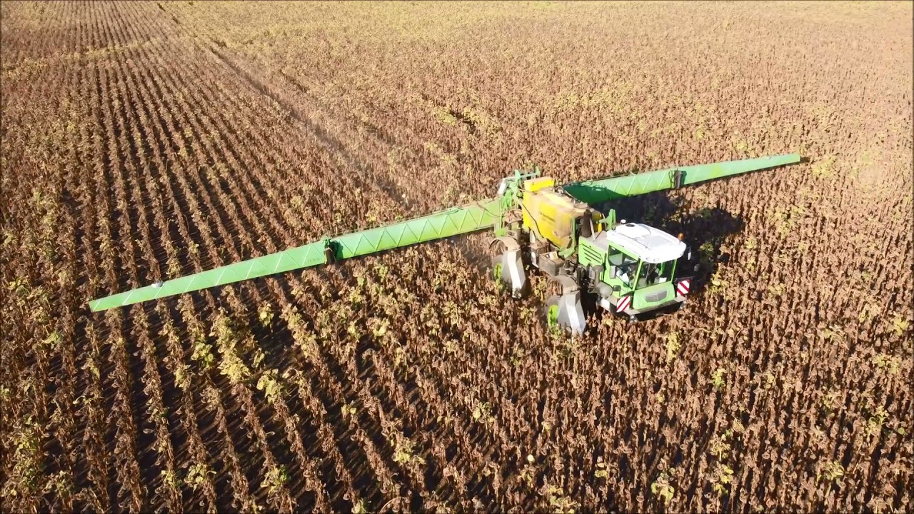 Napraforgó deszikkálás 2021   Dammann Trac DT 2000