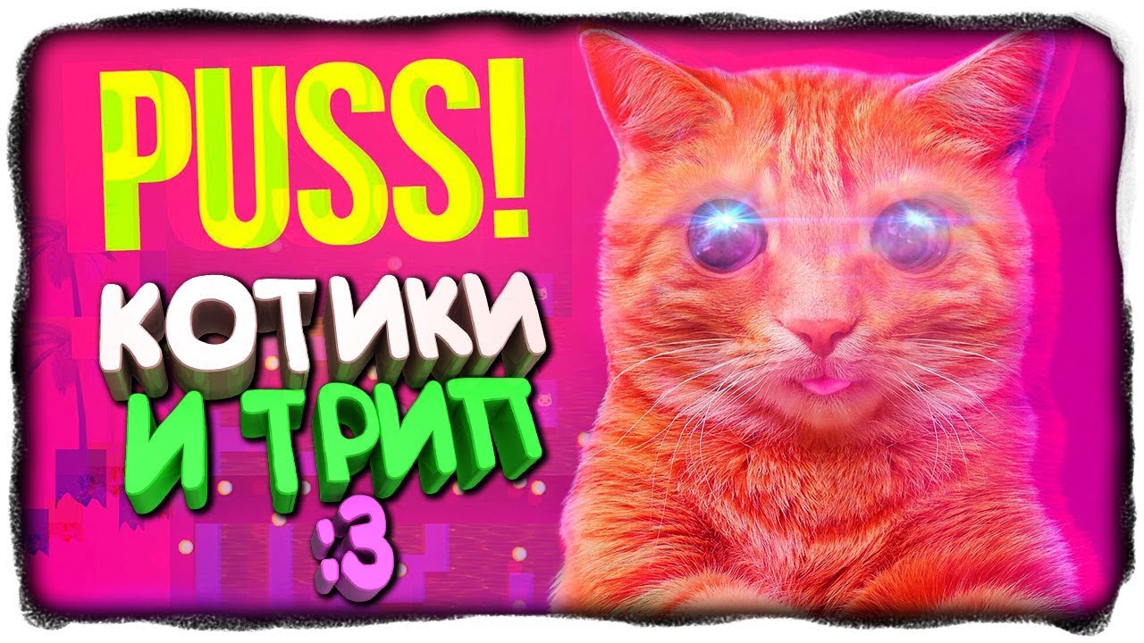 КОТИКИ И БЭД ТРИП! ✅ PUSS! Прохождение #1