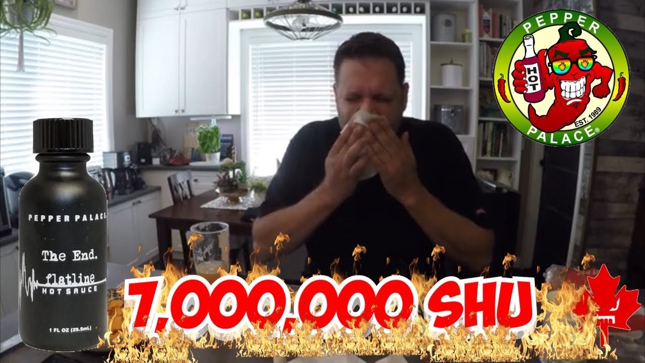 The End Flatline Hot Sauce, 3.5x Hotter Than The 1 Chip Challenge.