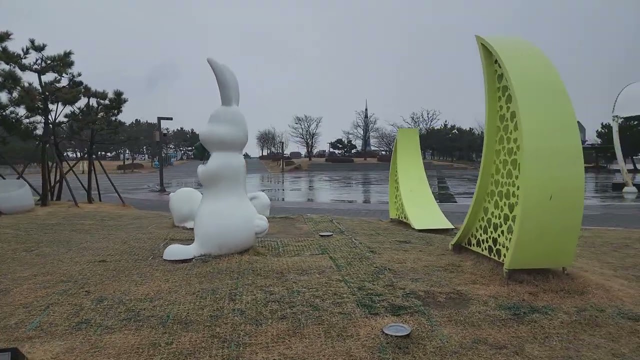 2026년3월18일 수요일 대부도 나래휴게소, 거북섬 나들이