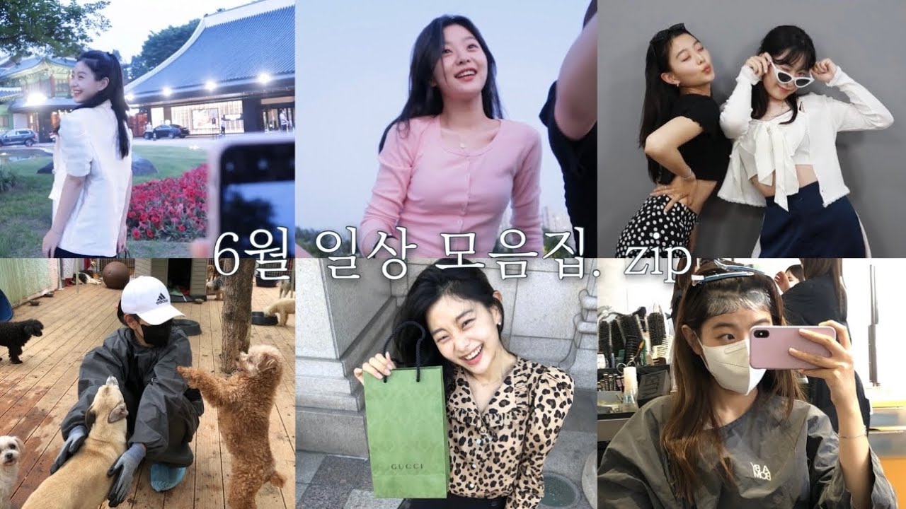 음대생 Vlog. 사랑 가득했던 6월 일상 모음집 🗂 / 신라호텔 더파크뷰, 유기견 봉사, 씨네드쉐프, 잔머리펌, 왕십리 찐맛집 등등