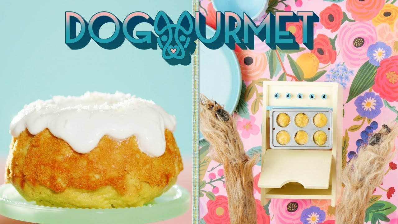 BOLO DE ANIVERSÁRIO NATURAL PARA CACHORRO | CÃOzinheiro 02