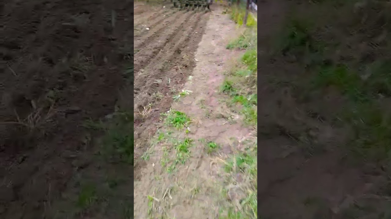 sprężynowanie