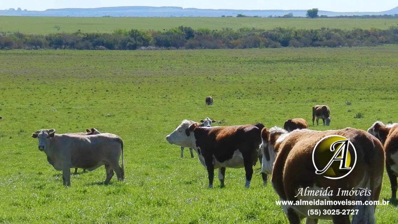 Fazenda a venda com 1500 hectares no Uruguai departamento de Rivera