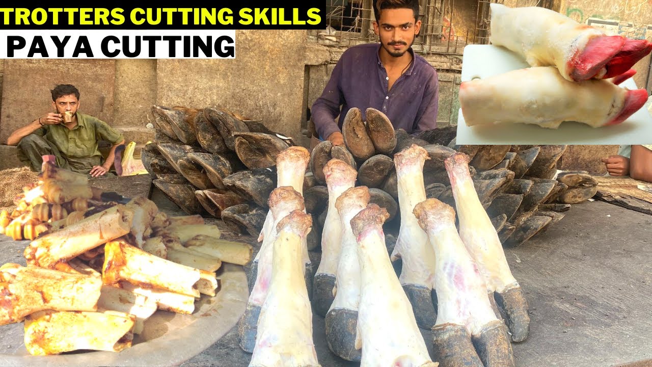 AMAZING BUFFALO TROTTERS CUTTING SKILLS | HOW TO CUT BEEF PAYA