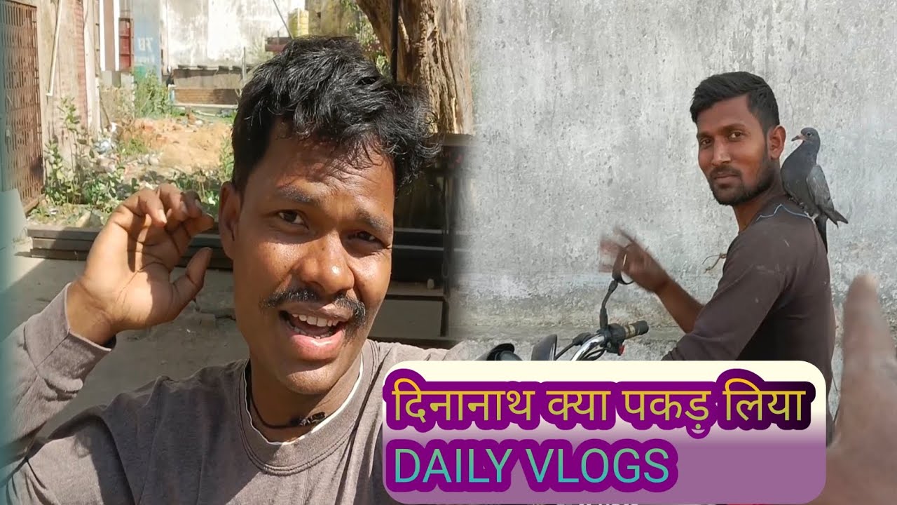 दिनानाथ क्या पकड़ लिया Daily  vlogs#lolravindravlogs 