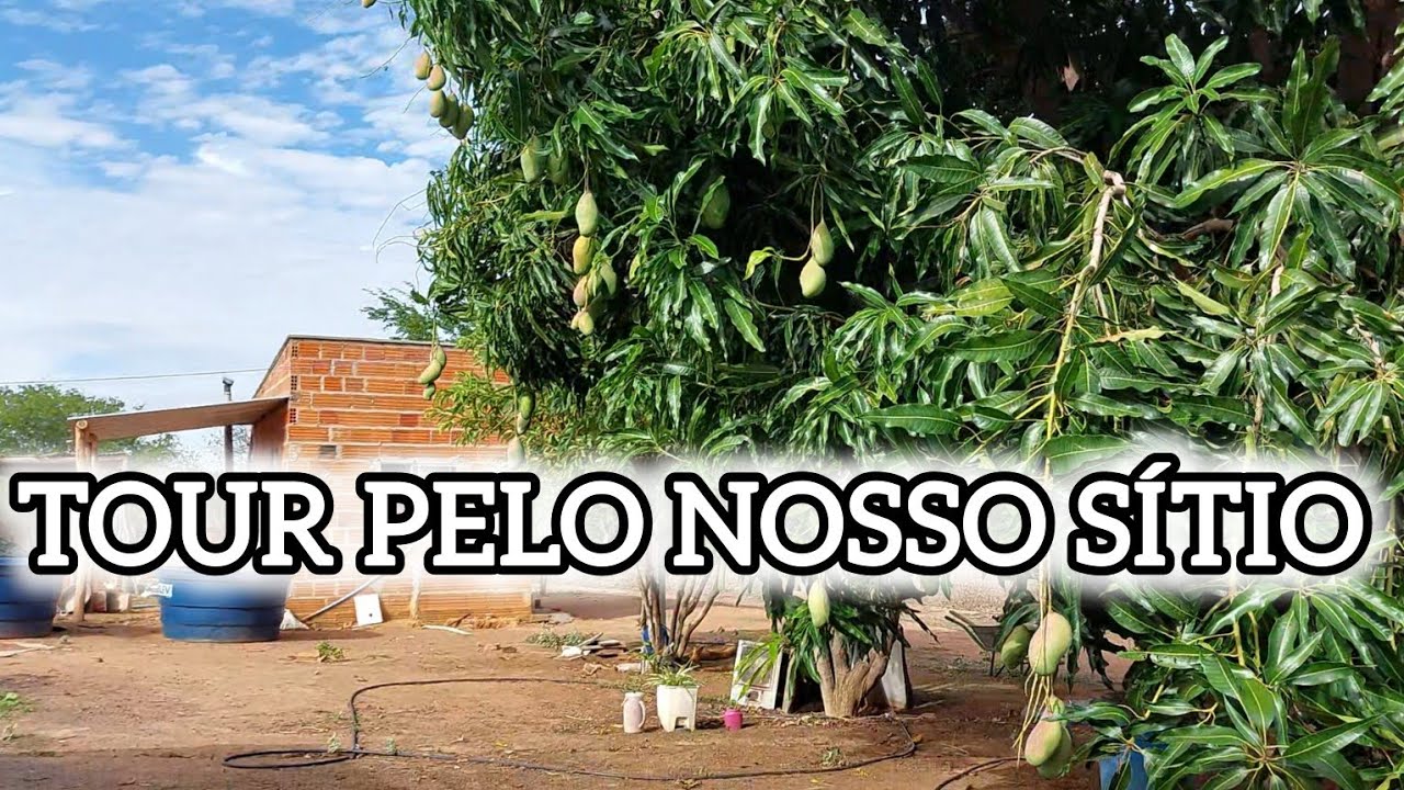 TOUR PELO NOSSO SÍTIO 🌱🌾