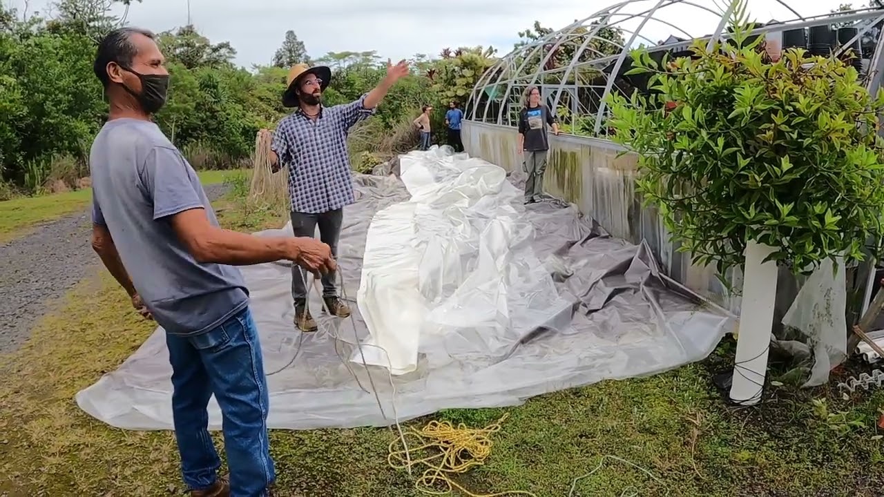Removing and Installing Greenhouse Plastic Roofing