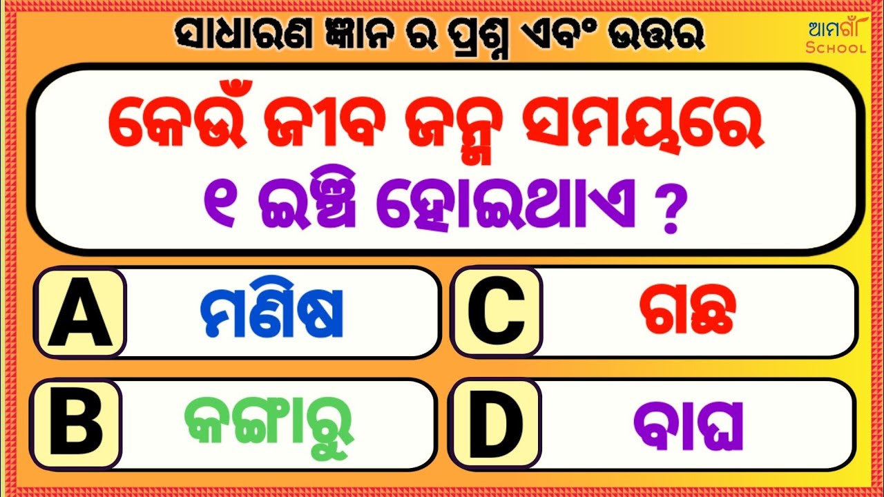 ସାଧାରଣ ଜ୍ଞାନ // Odia gk// Odia quiz \\Odia general nalej \\ Sadharan gyan \\ Odia general knowledge