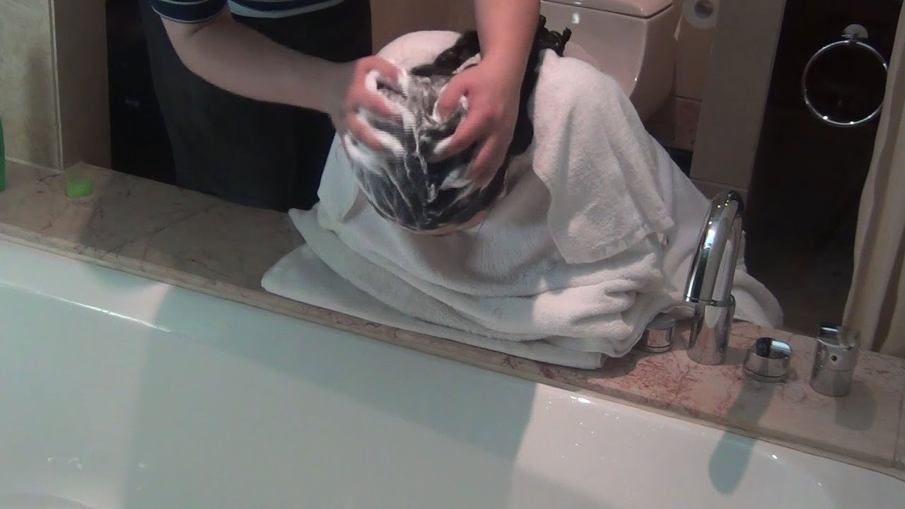 Hairwash FL101