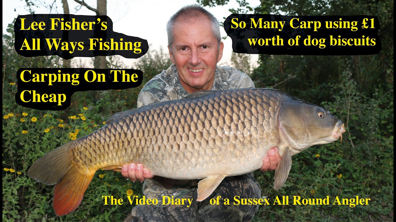 So Many Carp using £1 worth of dog biscuits