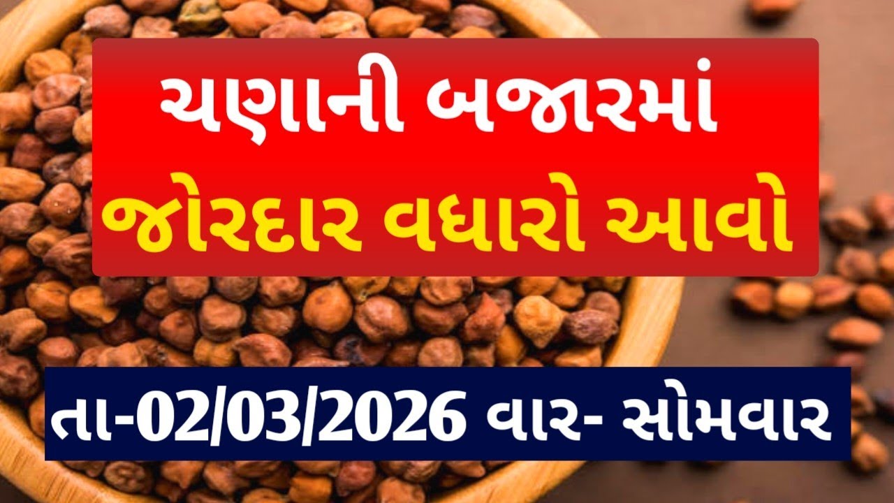 આજના ચણાના ભાવ|| 02/03/2026 ચણાની બજારમાં તેજી આવી|| જાણો આજના તમામ માર્કેટના ભાવ #ચણાના_ભાવ #ચણા 