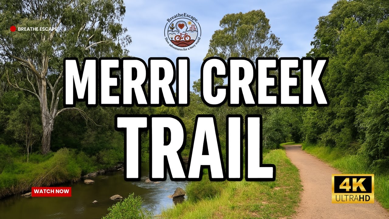 Hiking Along Merri Creek 🌿 | Urban Nature Walk in Brunswick East, Melbourne | ASMR in 4K