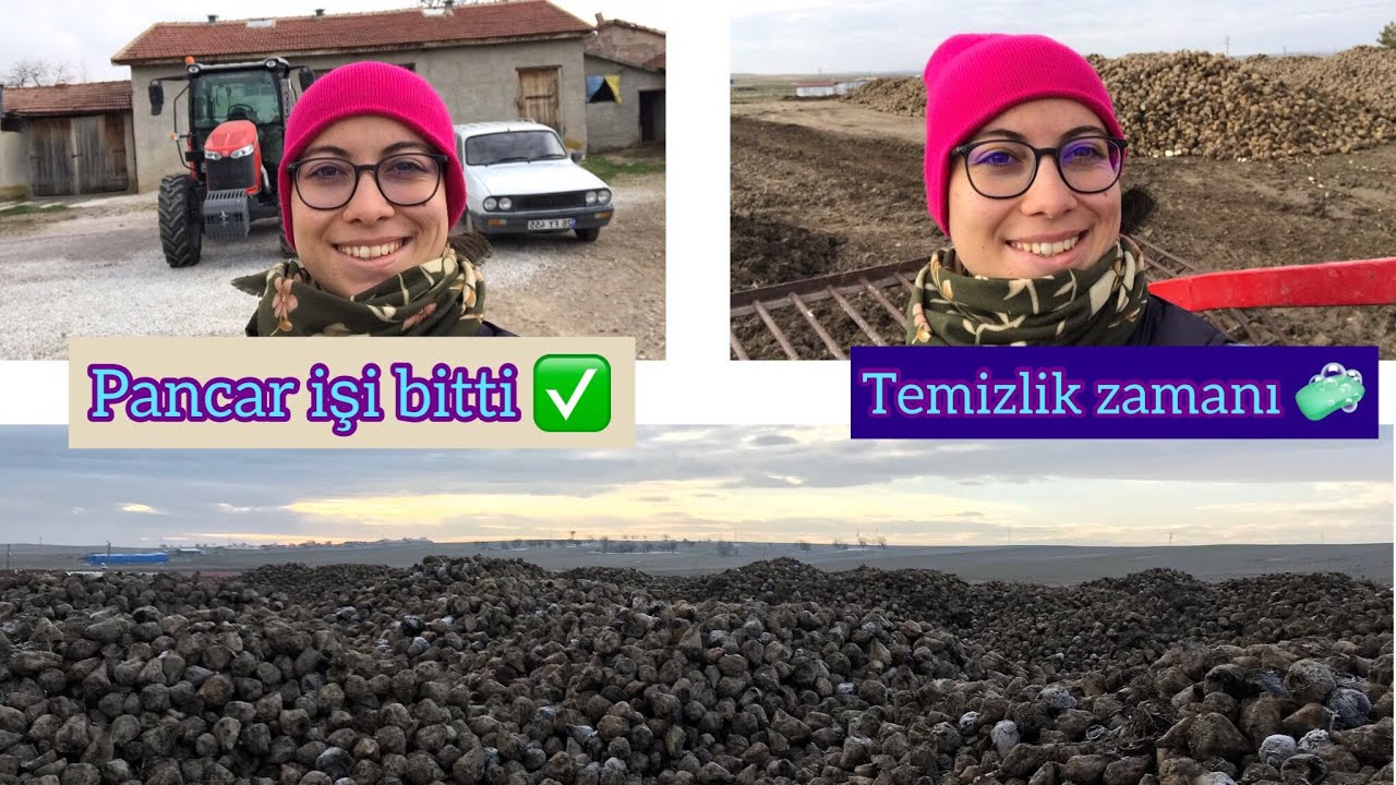 ŞEKER PANCARI İŞİ BİTTİ! EKİPMANLAR İÇİN TEMİZLİK ZAMANI!