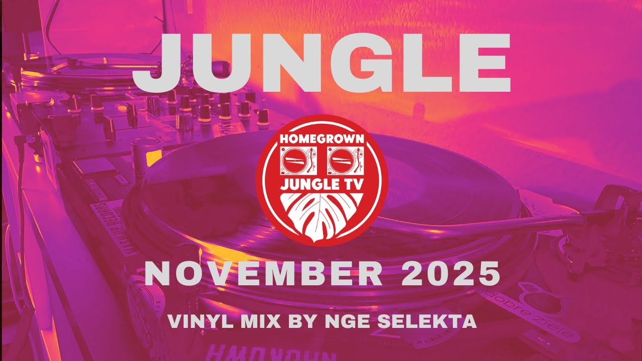 Jungle, November 2025
