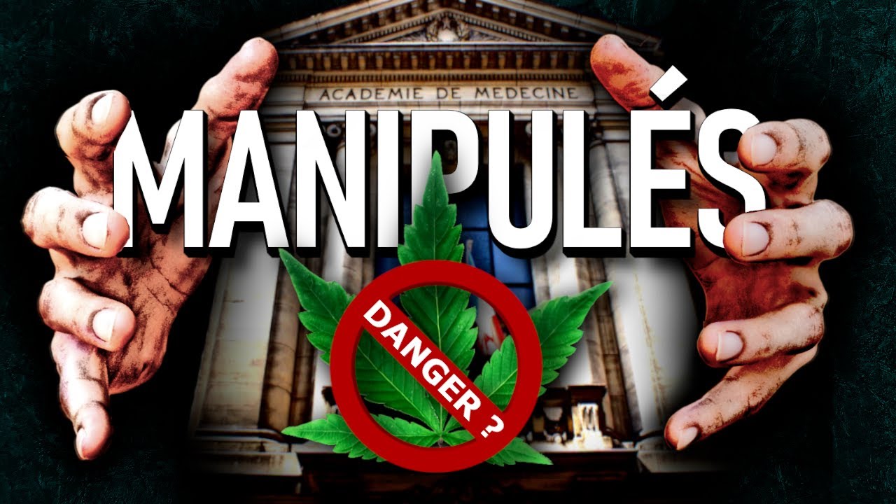 ENQU&Ecirc;TE : L'autre guerre cach&eacute;e du cannabis