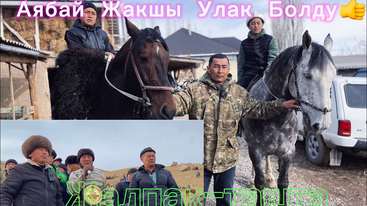 Көк бөрү Өзгөн Р-у Жалпак таш А/Ө Актерек Айылы Кыялбектин Аламан Улагы 05.02.2026