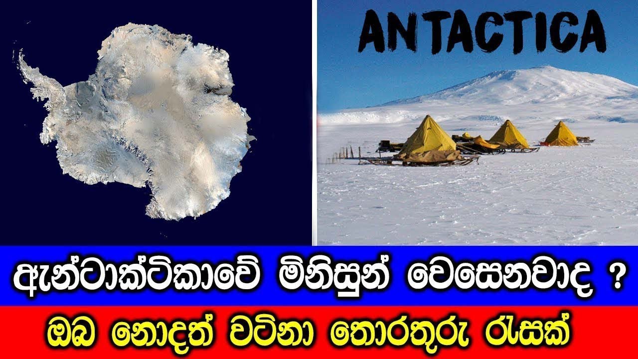 ඇන්ටාක්ටීකාවේ මිනිසුන් වෙසෙනවාද ?