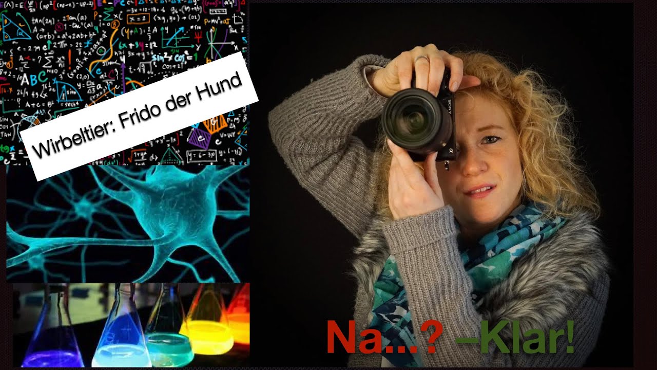 Wirbeltier: Frido der Hund
