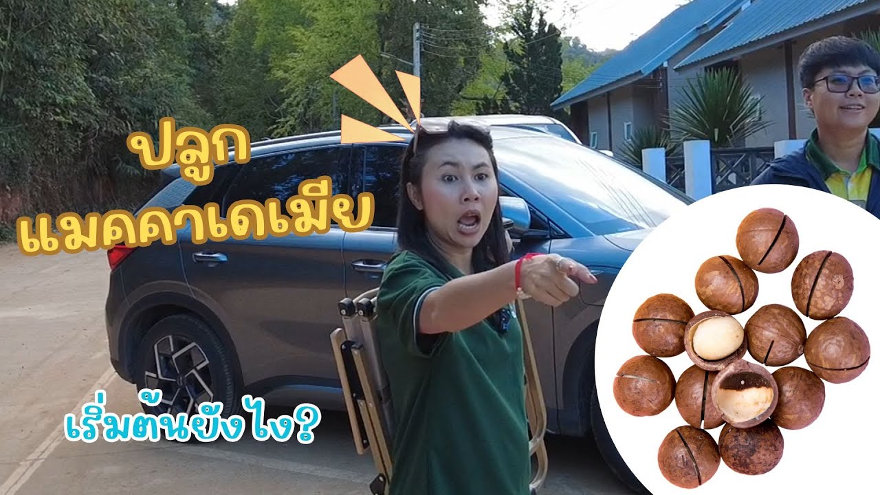 EP.4 ปลูกแมคคาเดเมีย เริ่มต้นยังไง