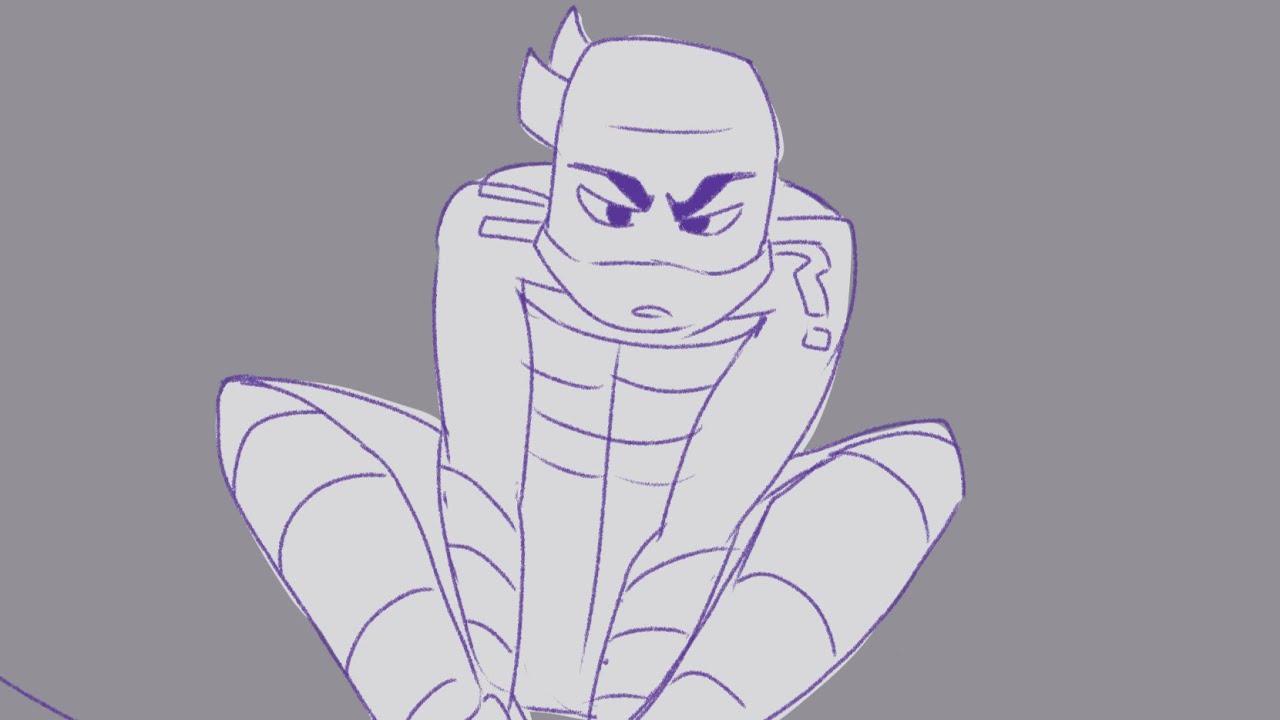 Why One Shouldn't Kidnap Donnie (ROTTMNT seer twin au animatic)