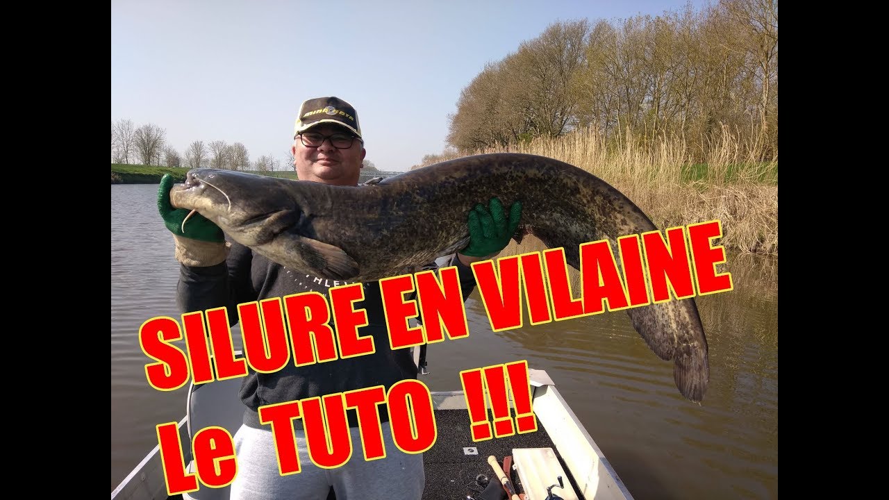 Silure en vilaine , le tuto !!!