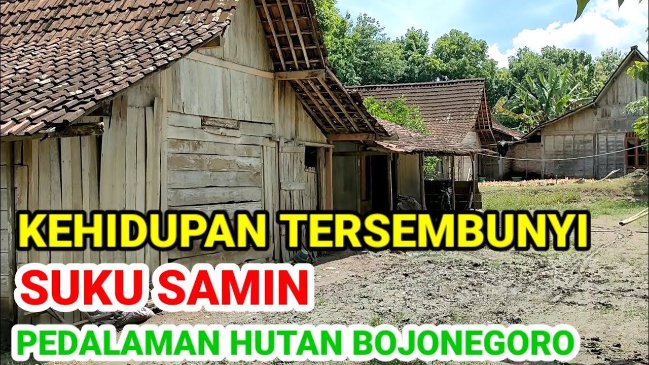 KEHIDUPAN TERSEMBUNYI SUKU SAMIN DI PEDALAMAN HUTAN