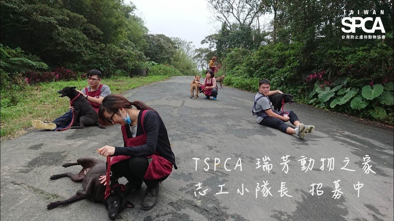 【TSPCA 招募收容所小隊長---瑞芳動物之家志工隊】