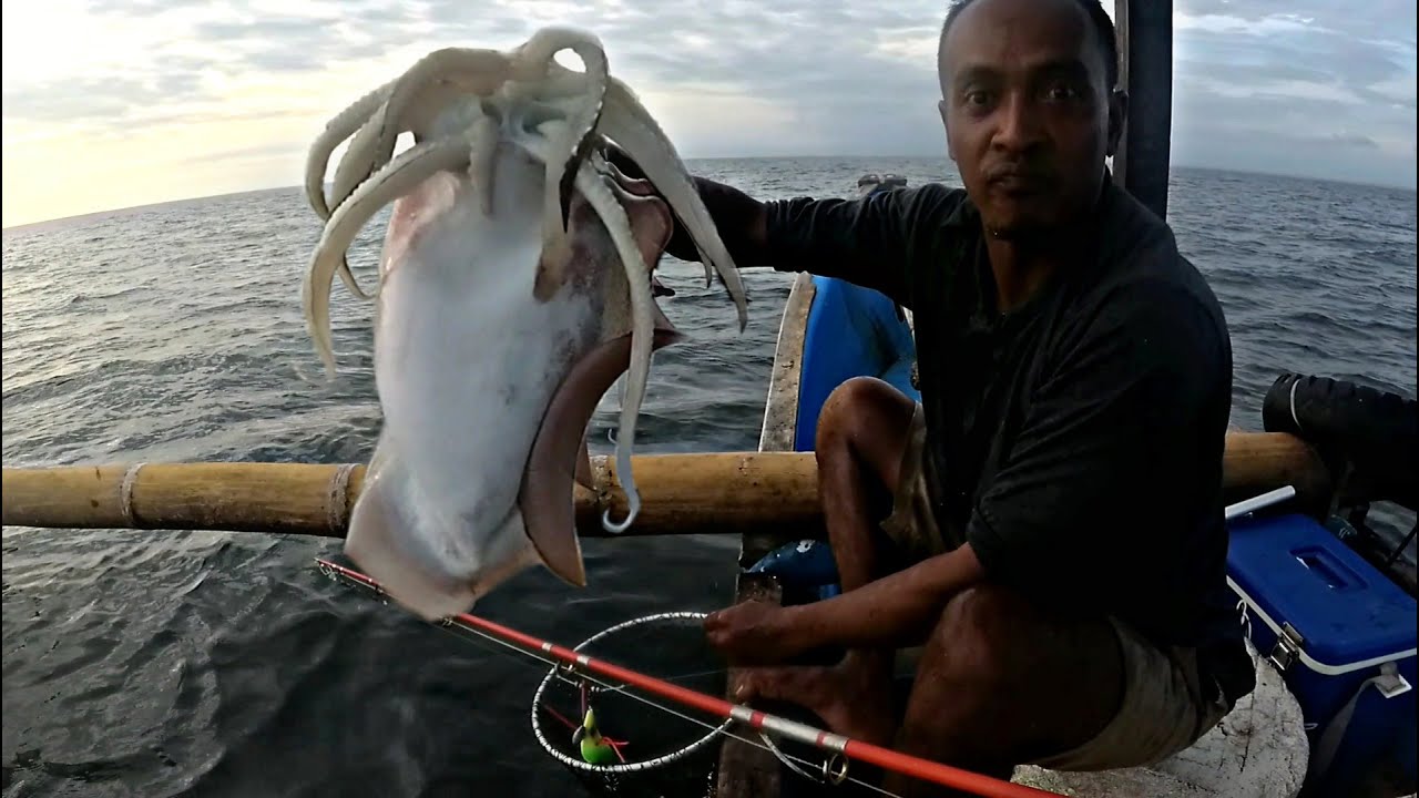wowww! ternyata begitu cara mancing cumi cendat | cumi kotak di kedalaman.