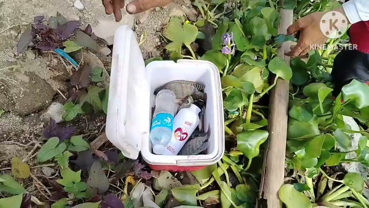 RESBAK SA LAKESHORE TAGUIG KASAMA MGA IDOL NATIN ..FISH ON 🎣🐟