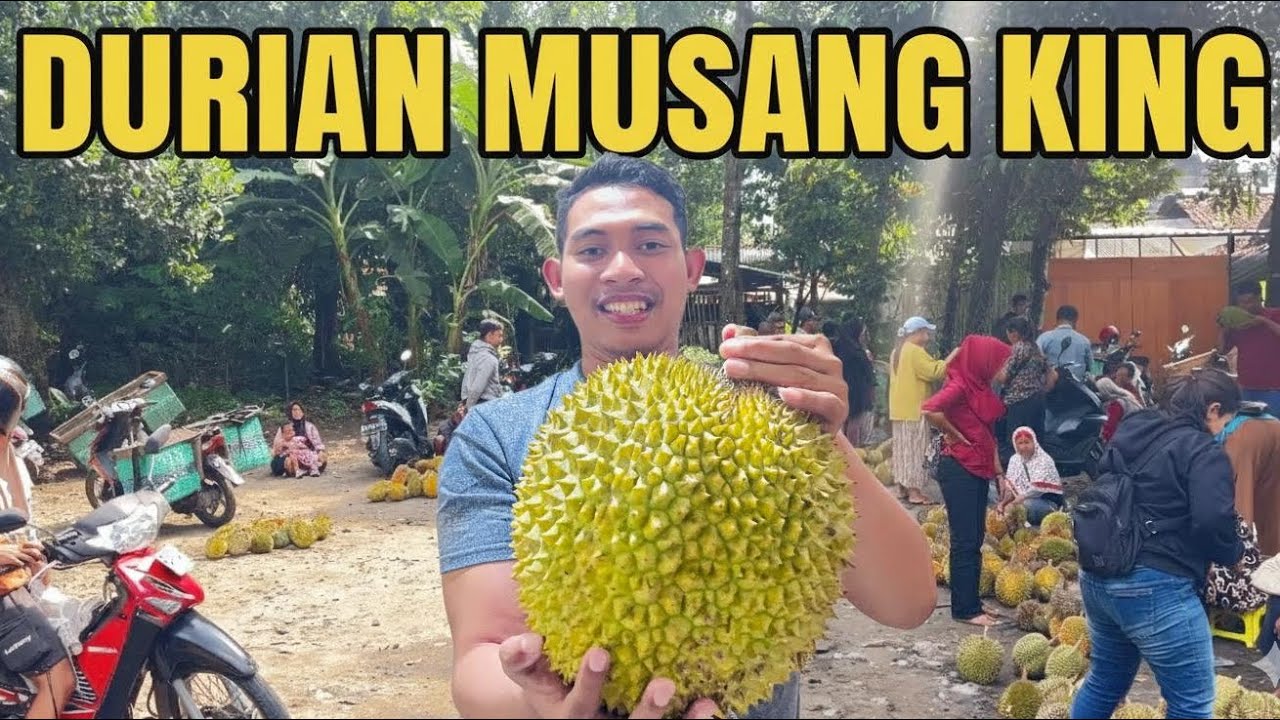 KETEMU DURIAN MUSANG KING TERBESAR se-PASAR | ISINYA SUPER TEBAL