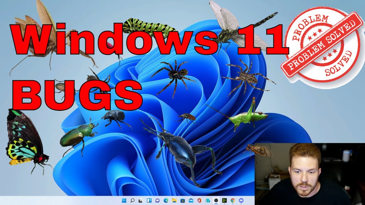 easy fix for windows 11 bugs