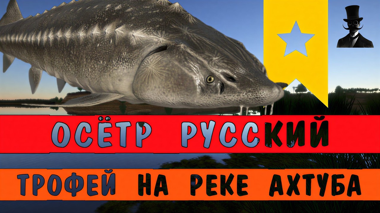 ГДЕ ЛОВИТЬ ОСЁТРА РУССКОГО? Рабочая точка на р. Ахтуба! Лучшее со стрима - Русская Рыбалка 4.