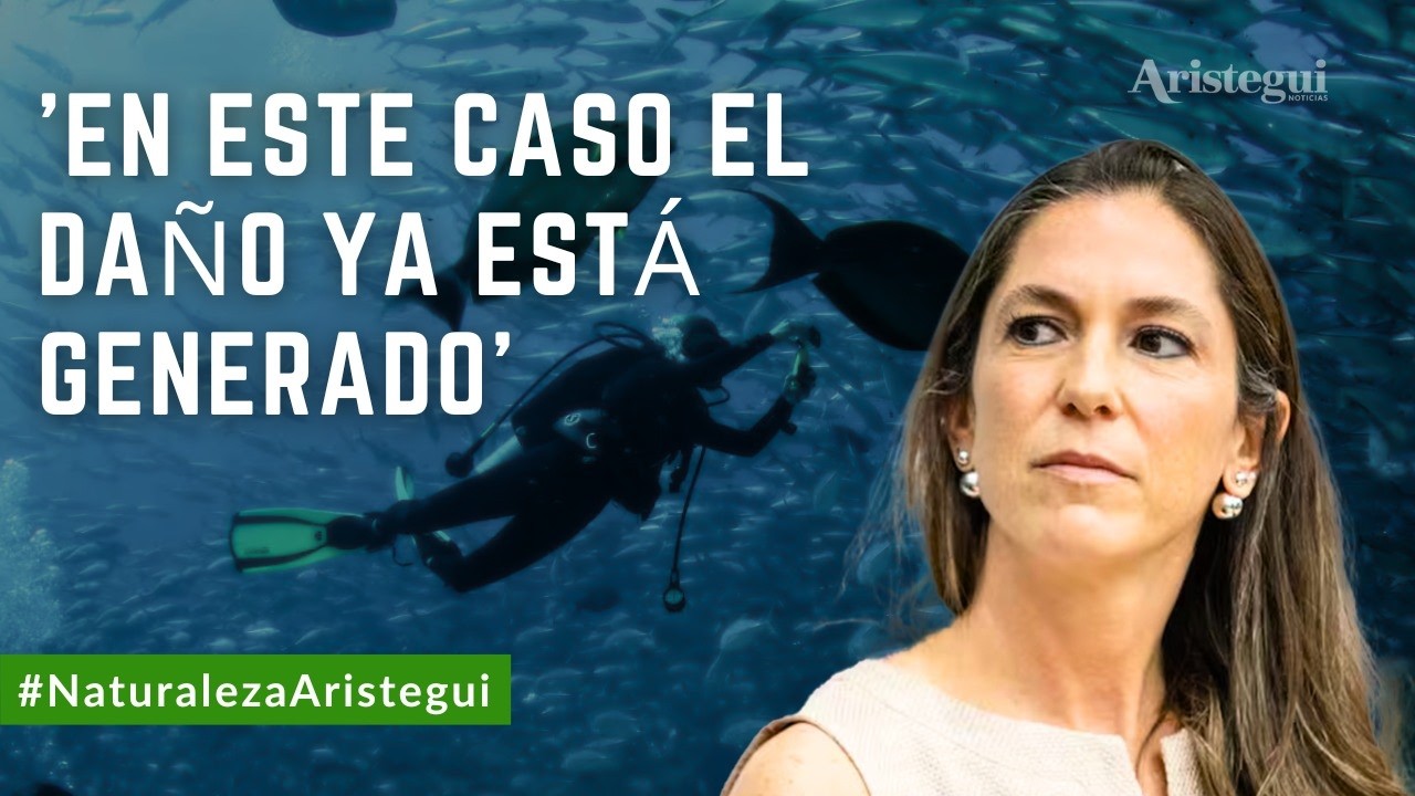 Detectamos 6 desarrollos sin autorización de impacto ambiental en Parque Nacional Cabo Pulmo | Boy